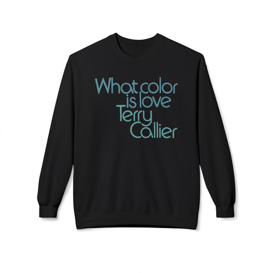 What Color Is Love Terry Callier Felpa